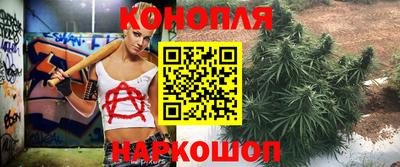 индика Ликино-Дулёво