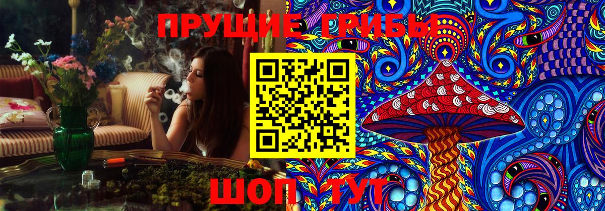 Домодедово  Псилоцибиновые грибы GOLDEN TEACHER  Вход с VPN 